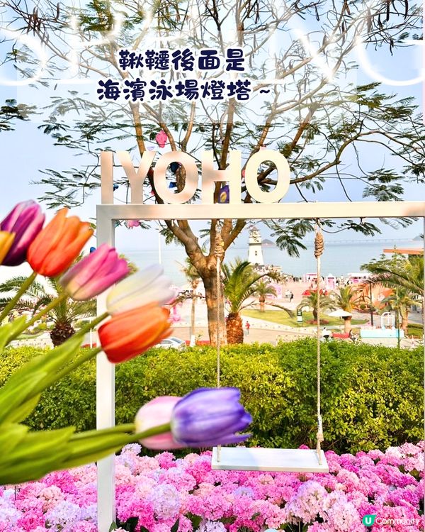 珠海城市客廳賞花秘點😍有5大打卡位‼️歐陸風車／繡球花花海／與梅花鹿互動打卡🦌附交通教學