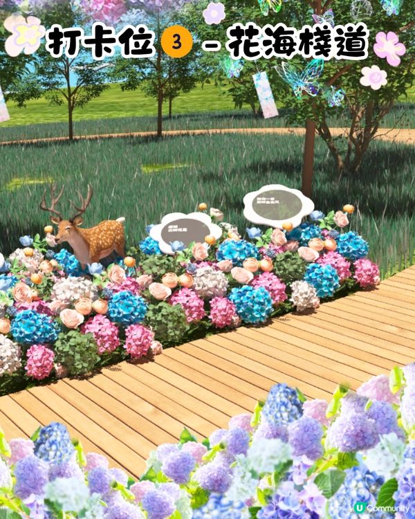 珠海城市客廳賞花秘點😍有5大打卡位‼️歐陸風車／繡球花花海／與梅花鹿互動打卡🦌附交通教學