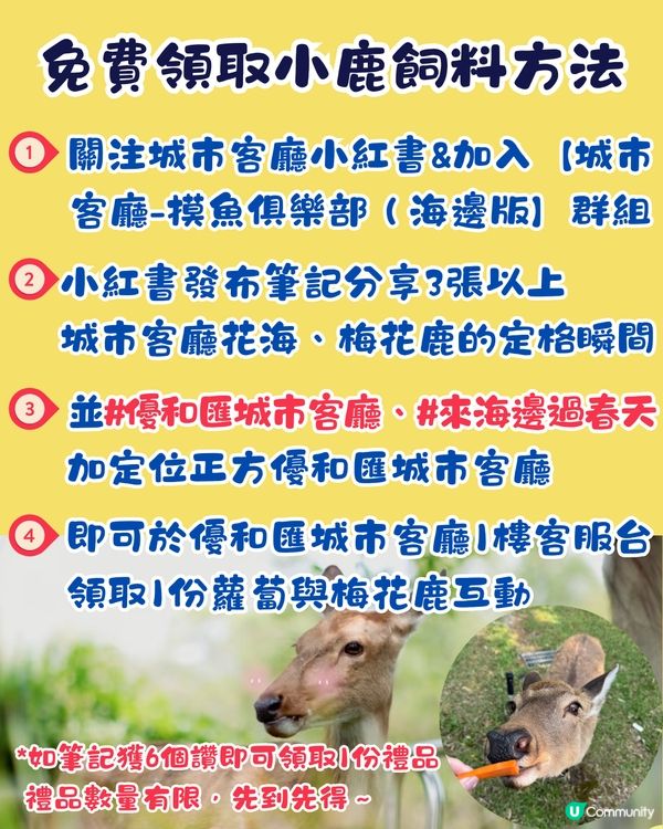 珠海城市客廳賞花秘點😍有5大打卡位‼️歐陸風車／繡球花花海／與梅花鹿互動打卡🦌附交通教學