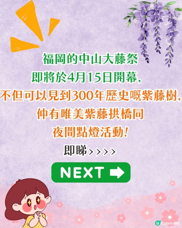 福岡中山大藤祭即將開幕🪻300年紫藤樹/浪漫紫藤拱橋/接駁車直達牡丹園🚗附交通資訊