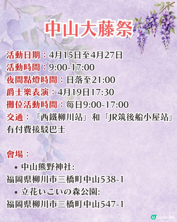 福岡中山大藤祭即將開幕🪻300年紫藤樹/浪漫紫藤拱橋/接駁車直達牡丹園🚗附交通資訊