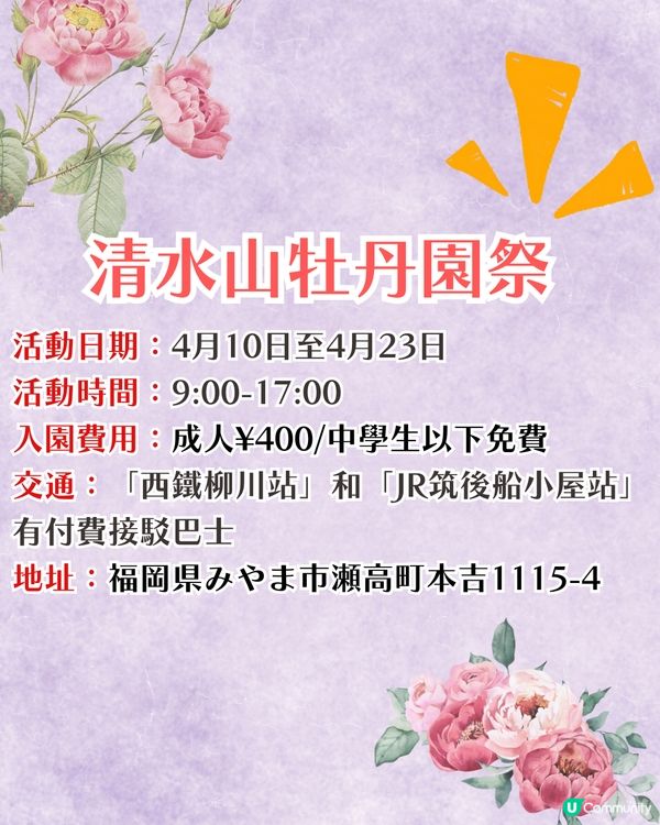 福岡中山大藤祭即將開幕🪻300年紫藤樹/浪漫紫藤拱橋/接駁車直達牡丹園🚗附交通資訊