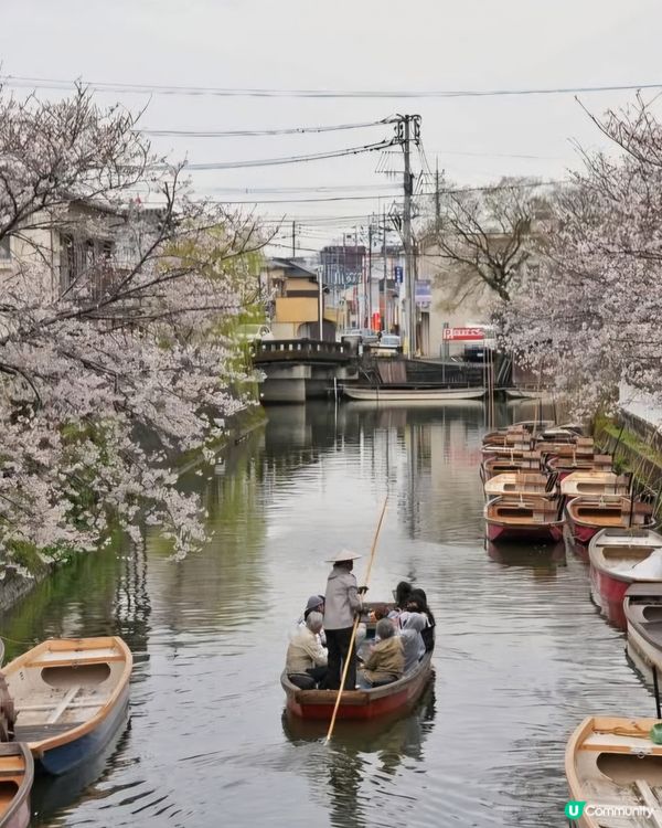 柳川船伕一邊撐船一邊唱兒歌