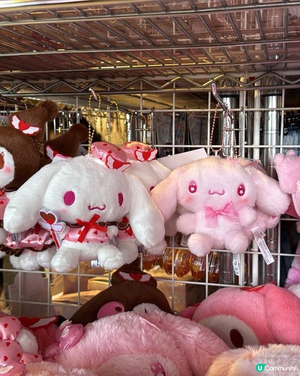 可愛的玉桂狗家族