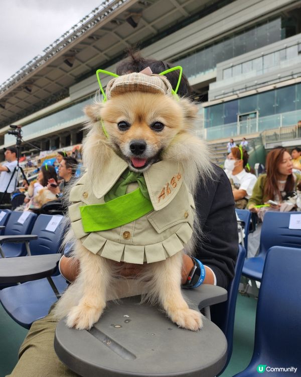 狗生第一次入馬場