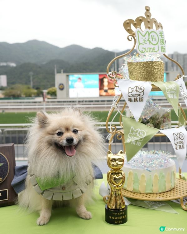 狗生第一次入馬場