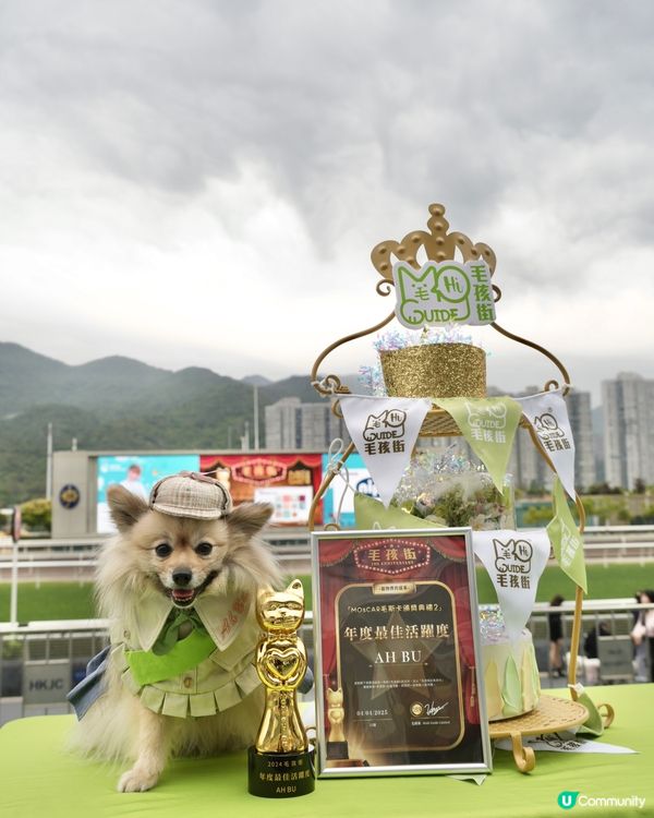 狗生第一次入馬場