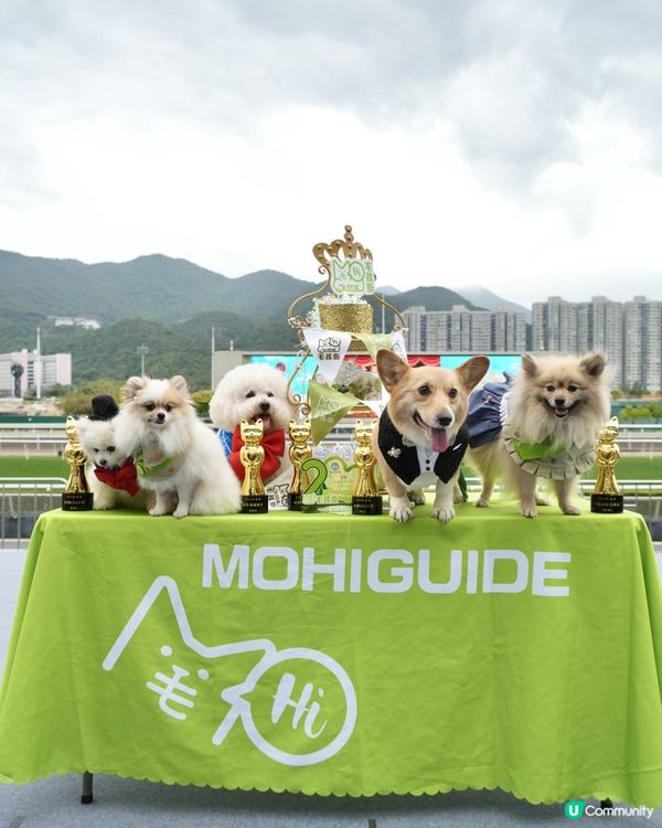 狗生第一次入馬場