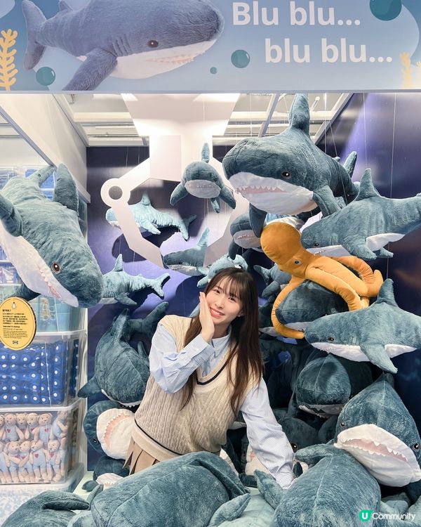 闖入鯊鯊池🦈IKEA香港50周年展覽🛋️