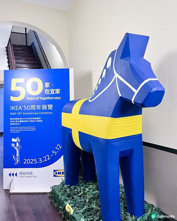 闖入鯊鯊池🦈IKEA香港50周年展覽🛋️