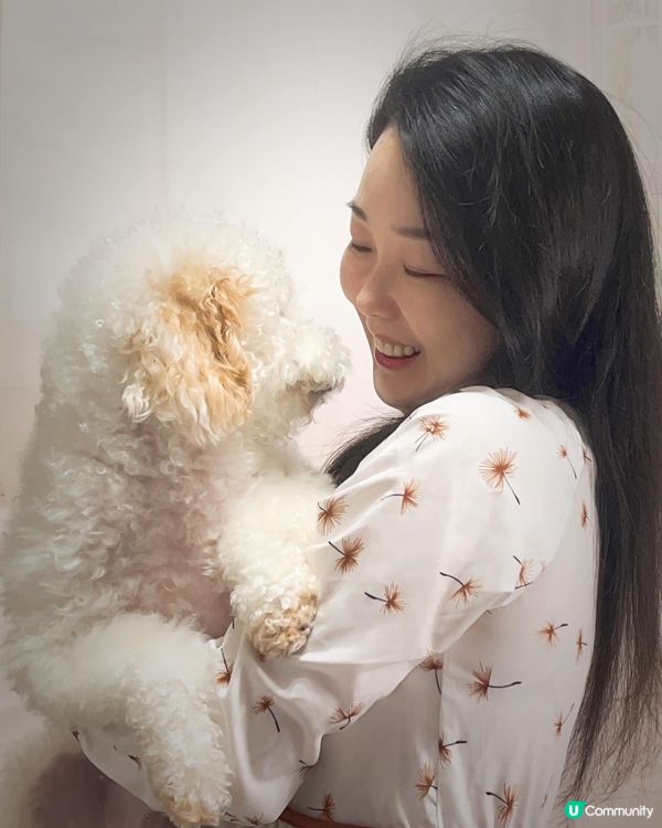 ## 🐶點解狗狗唔望住你？ 🤔