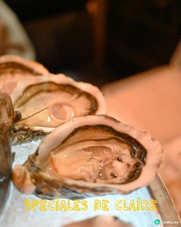 📍 蠔灣 (金巴利道) | 尖沙咀隱藏海鮮天堂 🦪🦞📍 蠔灣 (金巴利道) | 尖沙咀隱藏海鮮天堂 🦪🦞