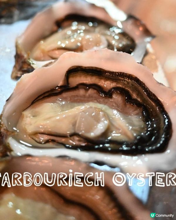 📍 蠔灣 (金巴利道) | 尖沙咀隱藏海鮮天堂 🦪🦞📍 蠔灣 (金巴利道) | 尖沙咀隱藏海鮮天堂 🦪🦞