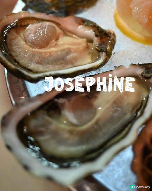 📍 蠔灣 (金巴利道) | 尖沙咀隱藏海鮮天堂 🦪🦞📍 蠔灣 (金巴利道) | 尖沙咀隱藏海鮮天堂 🦪🦞