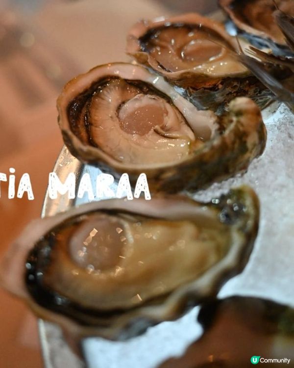 📍 蠔灣 (金巴利道) | 尖沙咀隱藏海鮮天堂 🦪🦞📍 蠔灣 (金巴利道) | 尖沙咀隱藏海鮮天堂 🦪🦞