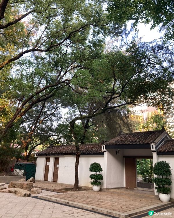 遊走荃灣的日子