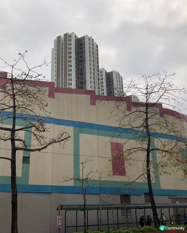 遊走荃灣的日子