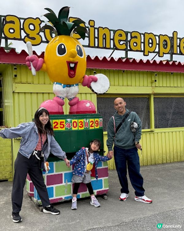 沖繩親子遊 | 名護菠蘿園 x 恐龍探險區 x 親子行程