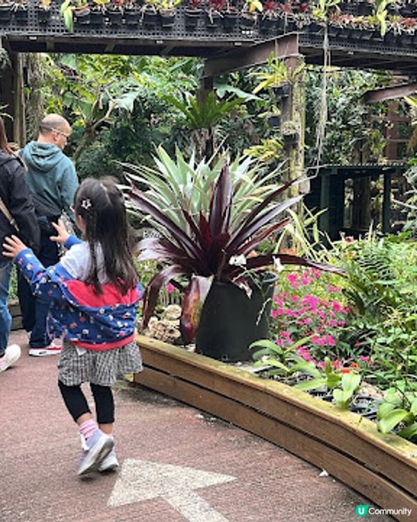 沖繩親子遊 | 名護菠蘿園 x 恐龍探險區 x 親子行程