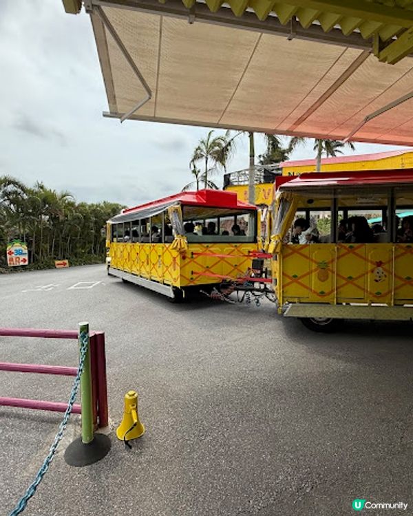 沖繩親子遊 | 名護菠蘿園 x 恐龍探險區 x 親子行程