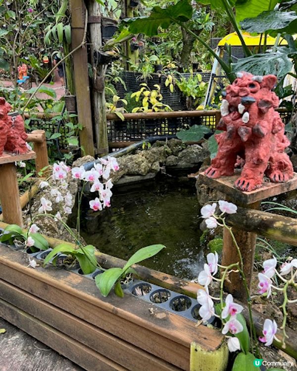 沖繩親子遊 | 名護菠蘿園 x 恐龍探險區 x 親子行程