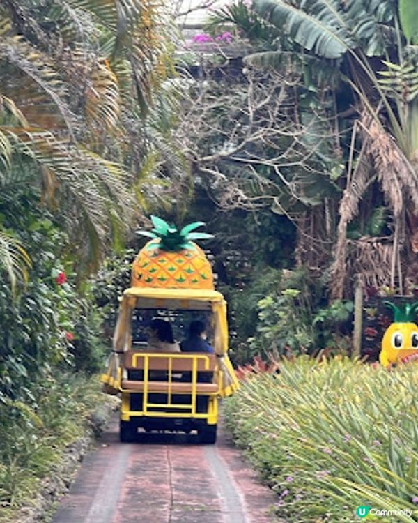 沖繩親子遊 | 名護菠蘿園 x 恐龍探險區 x 親子行程