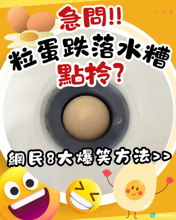 急問‼️粒蛋跌咗落水糟點拎🫨？網民提供8大爆笑方法！
