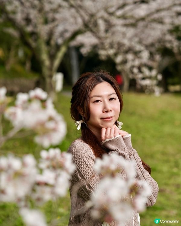 福岡櫻花真係好靚呀😍
