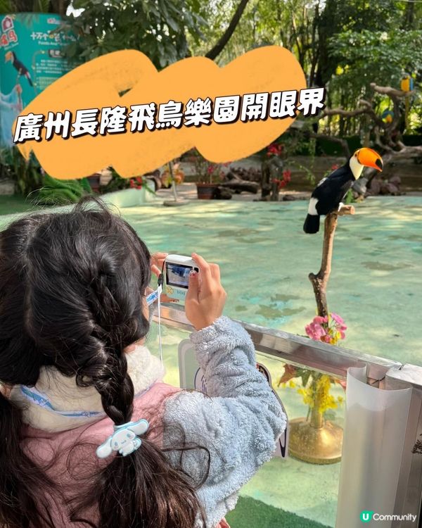 廣州長隆世界三部曲の飛鳥樂園