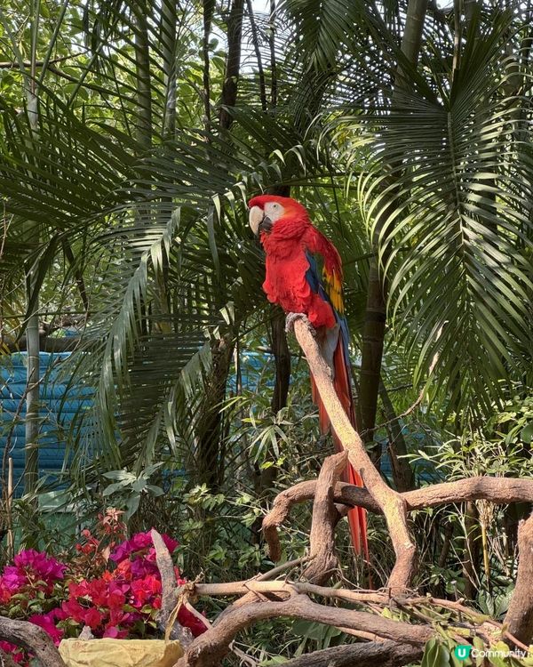 廣州長隆世界三部曲の飛鳥樂園