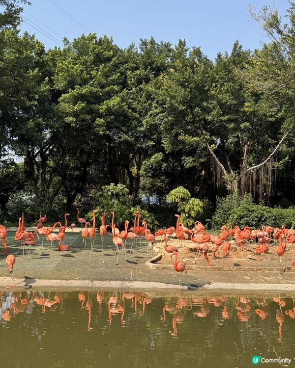 廣州長隆世界三部曲の飛鳥樂園
