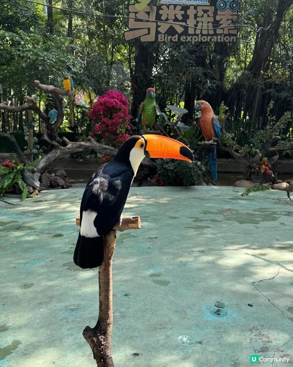 廣州長隆世界三部曲の飛鳥樂園