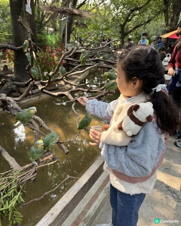 廣州長隆世界三部曲の飛鳥樂園