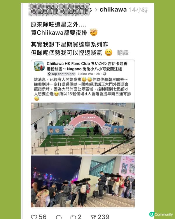 Chiikawa香港官方店絕版公仔開售🔥粉絲通宵排隊😳拍賣平台炒至X倍？