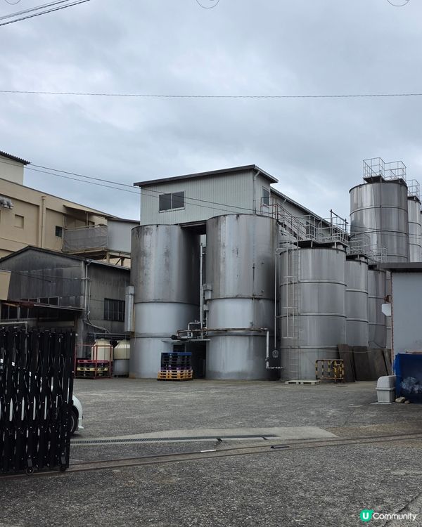 🌸京都。伏見十石舟櫻花🌸🛶人氣打卡靚絕美境🌸