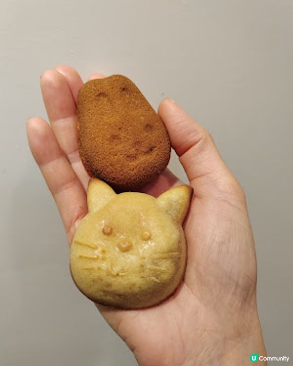 可愛小貓小兔蛋糕