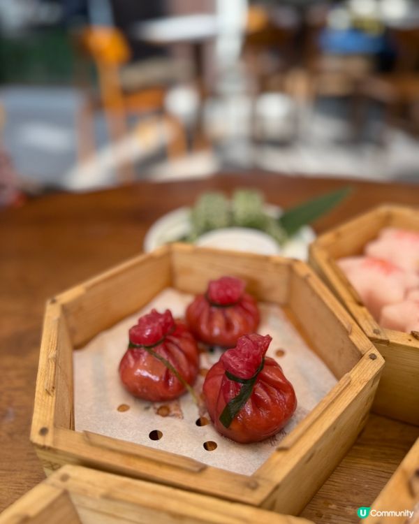 帶住毛孩嘆點心🥧