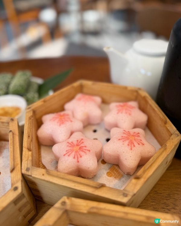 帶住毛孩嘆點心🥧