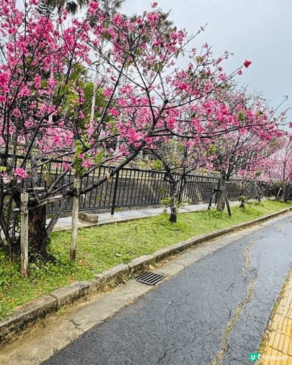 2025年2月初沖繩四天之旅，期間去咗沖繩代表性嘅景點：