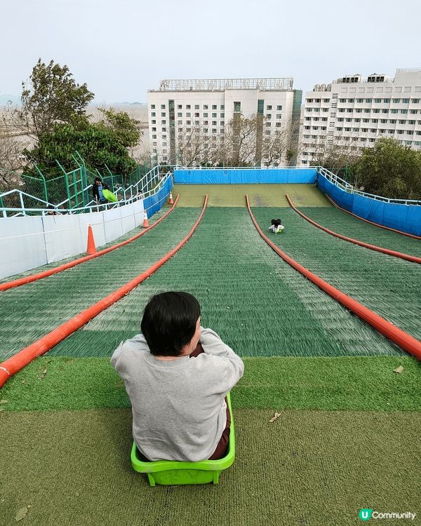 全澳門唯一，成人都可以玩嘅免費滑草場。