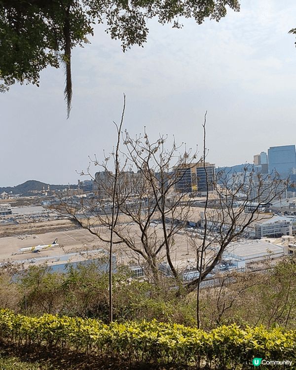 全澳門唯一，成人都可以玩嘅免費滑草場。