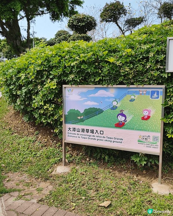 全澳門唯一，成人都可以玩嘅免費滑草場。