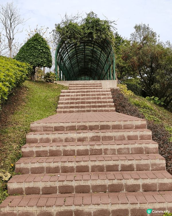 全澳門唯一，成人都可以玩嘅免費滑草場。