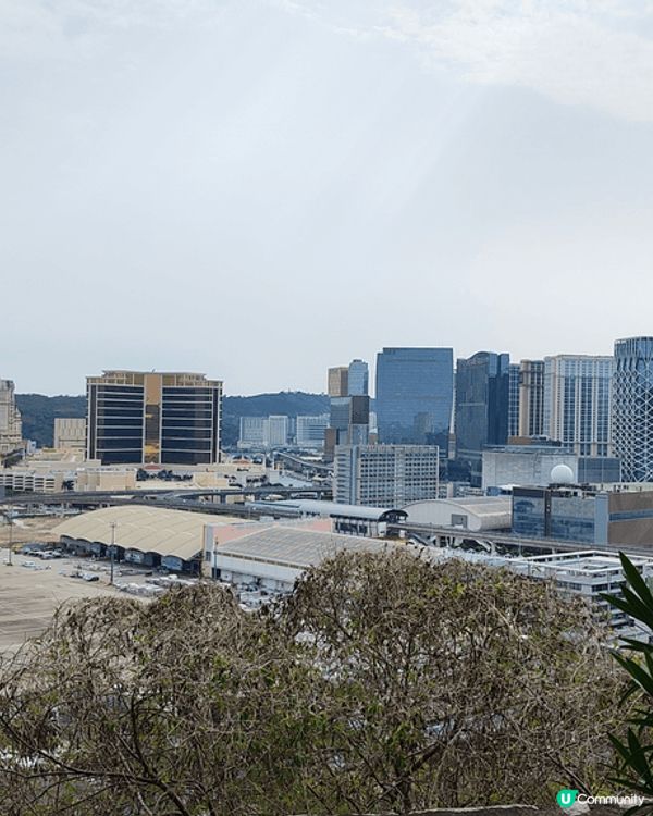 全澳門唯一，成人都可以玩嘅免費滑草場。