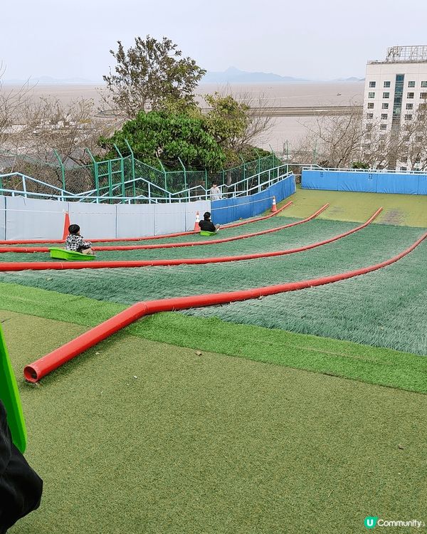 全澳門唯一，成人都可以玩嘅免費滑草場。