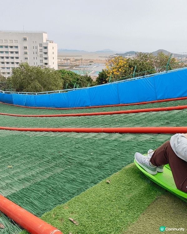 全澳門唯一，成人都可以玩嘅免費滑草場。