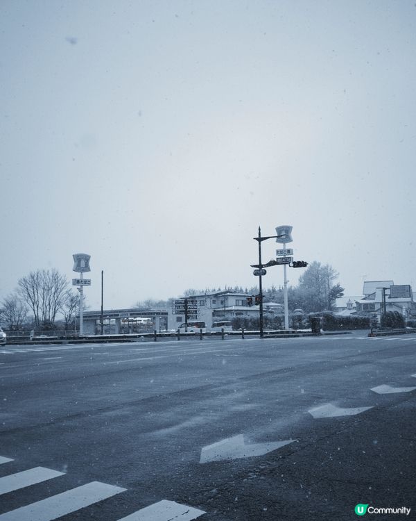 數日前的日本之旅，在當地歷經了春夏秋冬，看了櫻花和雪，感受著...