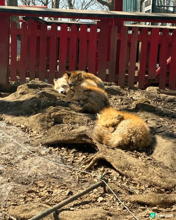 香港直航仙台 ，機場細旅客少，景點不多 ，市中心也有百貨公司...