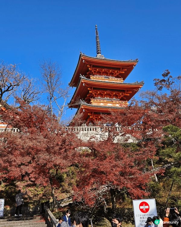 大阪之旅 影咗好靚嘅紅葉同埋金剛閃閃嘅感覺字 雖然 呢幾個都...