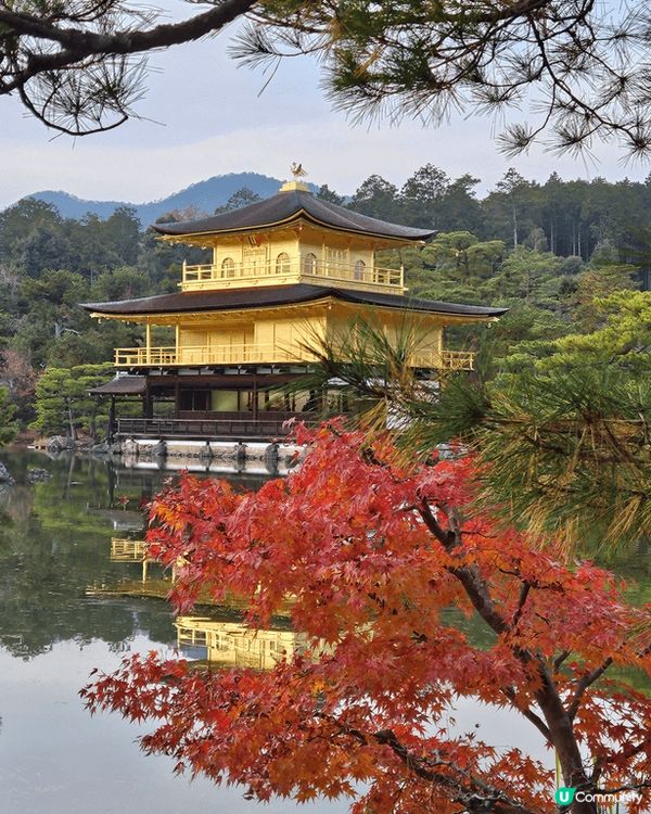 大阪之旅 影咗好靚嘅紅葉同埋金剛閃閃嘅感覺字 雖然 呢幾個都...